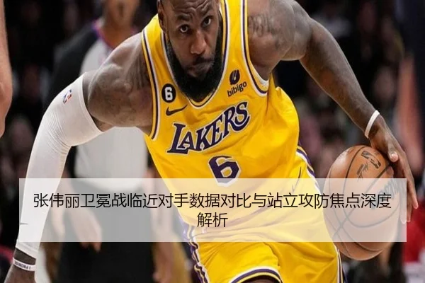 张伟丽卫冕战临近对手数据对比与站立攻防焦点深度解析 - YYSPORTS
